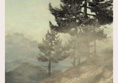 Painting of a pine trees on a misty mountainside.